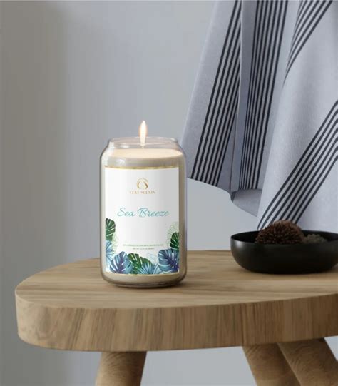 Infuse your living space with the enchanting scents of the Magic Candle Company and enjoy free shipping.